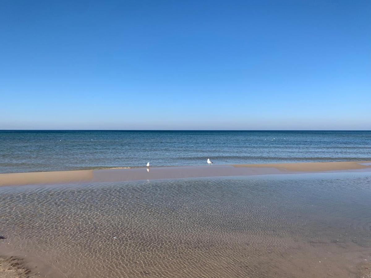 דירות דז'יבנובק Surf'N Beach Apartament מראה חיצוני תמונה
